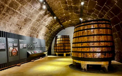 Wine barrels in a stone cellar at Caves do Vinho do Porto, Porto.