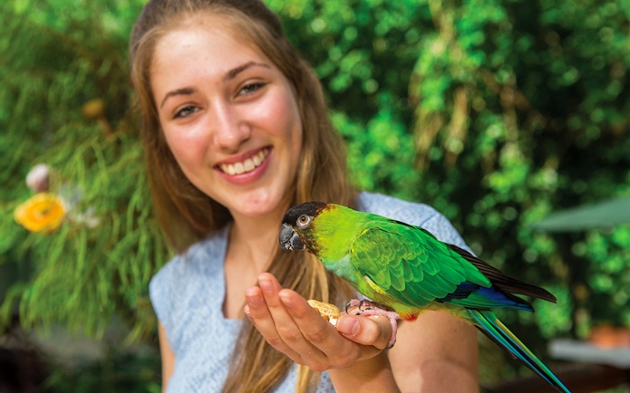 Woman holding a colorful parrot at Birdworld Kuranda.