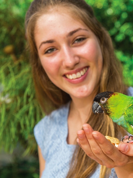 Woman holding a colorful parrot at Birdworld Kuranda.