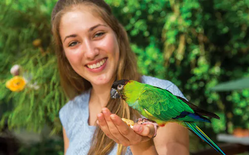 Woman holding a colorful parrot at Birdworld Kuranda.