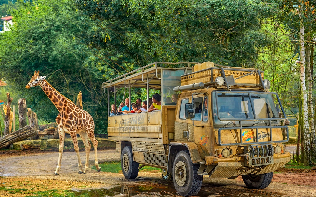 Safari truck with visitors observing a giraffe at Chessington World of Adventure.
