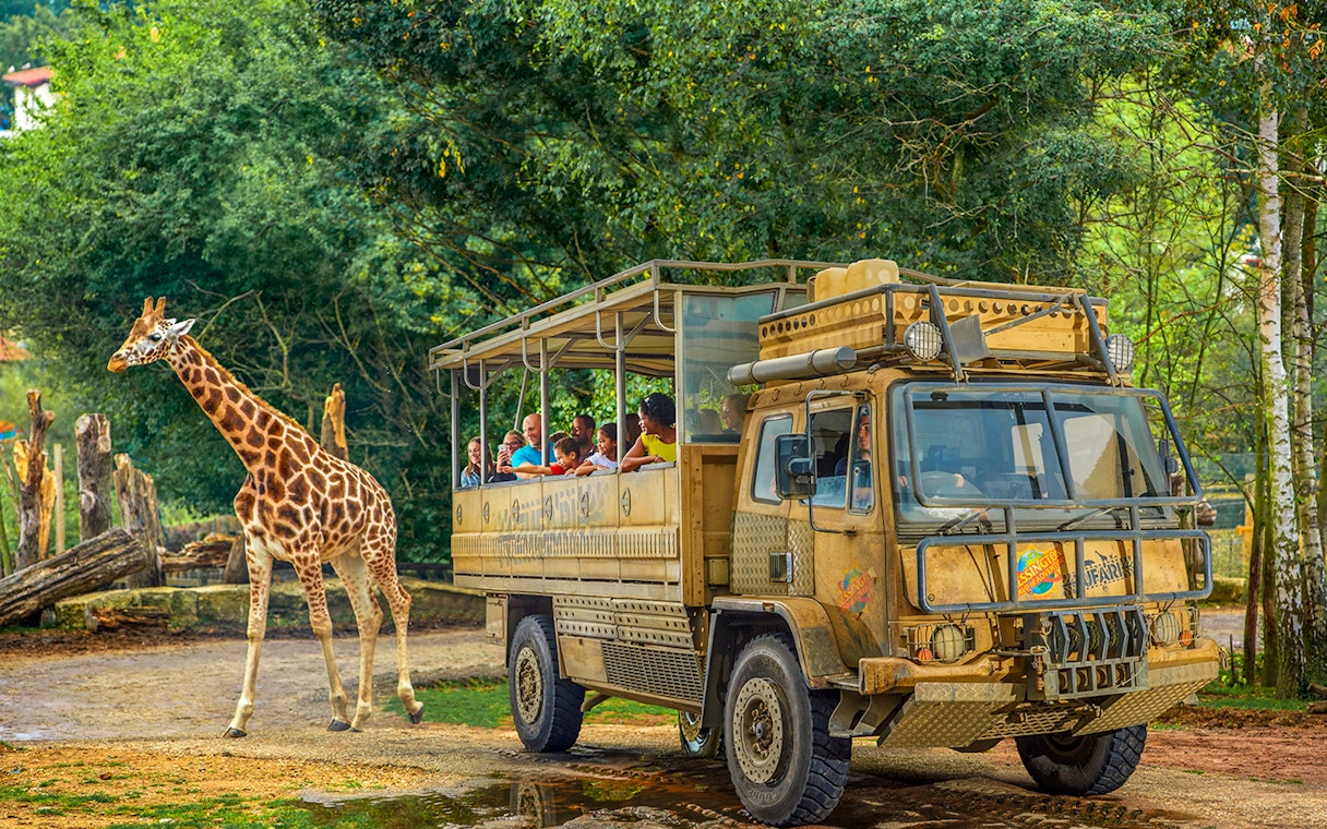 Safari truck with visitors observing a giraffe at Chessington World of Adventure.