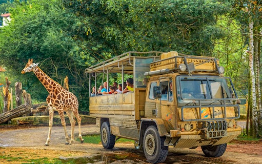 Safari truck with visitors observing a giraffe at Chessington World of Adventure.