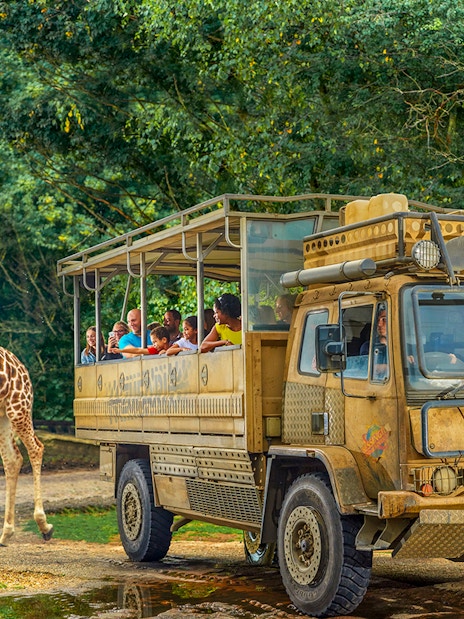 Safari truck with visitors observing a giraffe at Chessington World of Adventure.