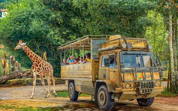 Safari truck with visitors observing a giraffe at Chessington World of Adventure.