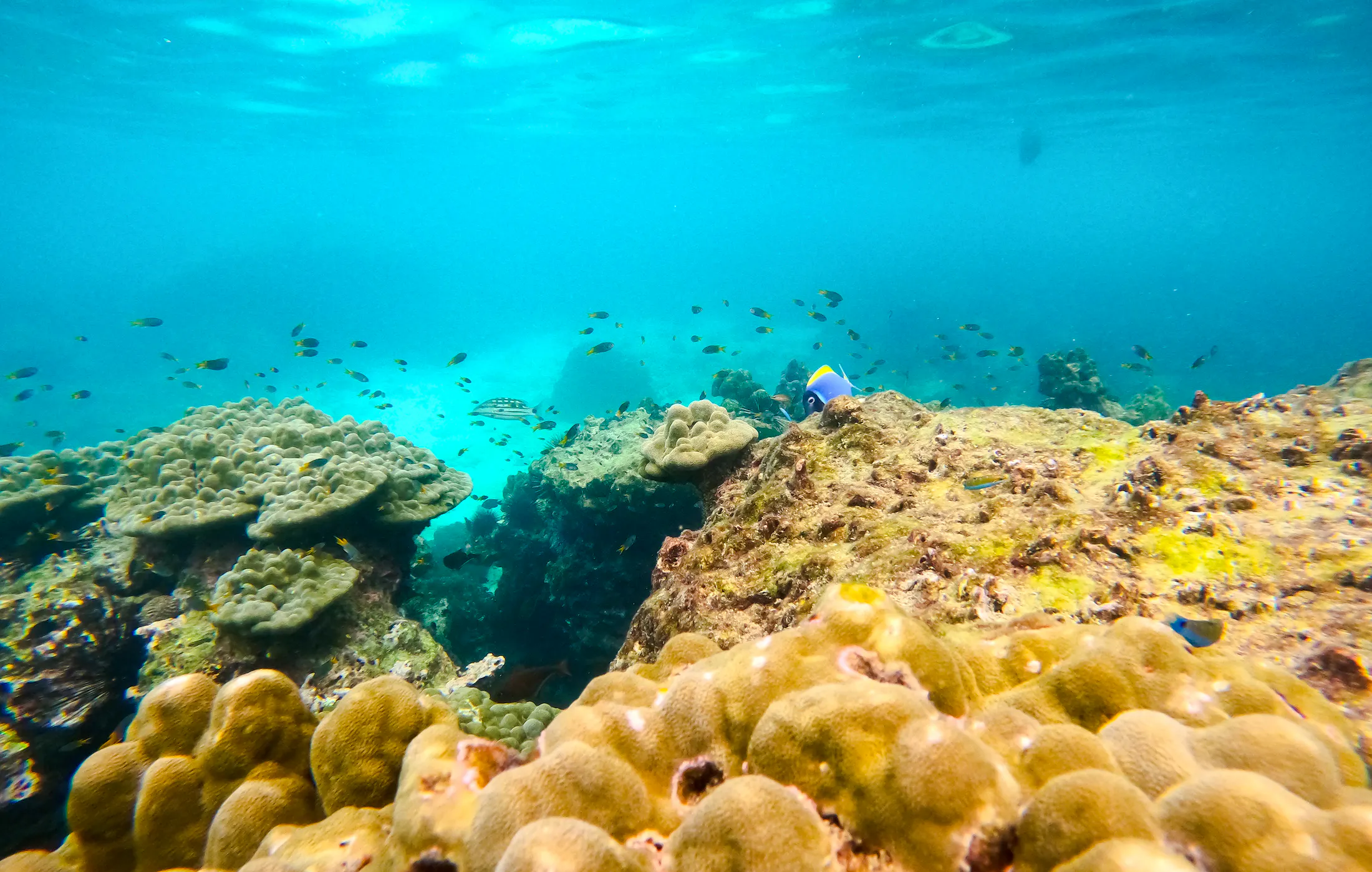 Krabi to Phuket Transfer via Phi Phi with Private Longtail Boat Tour and Maya Bay