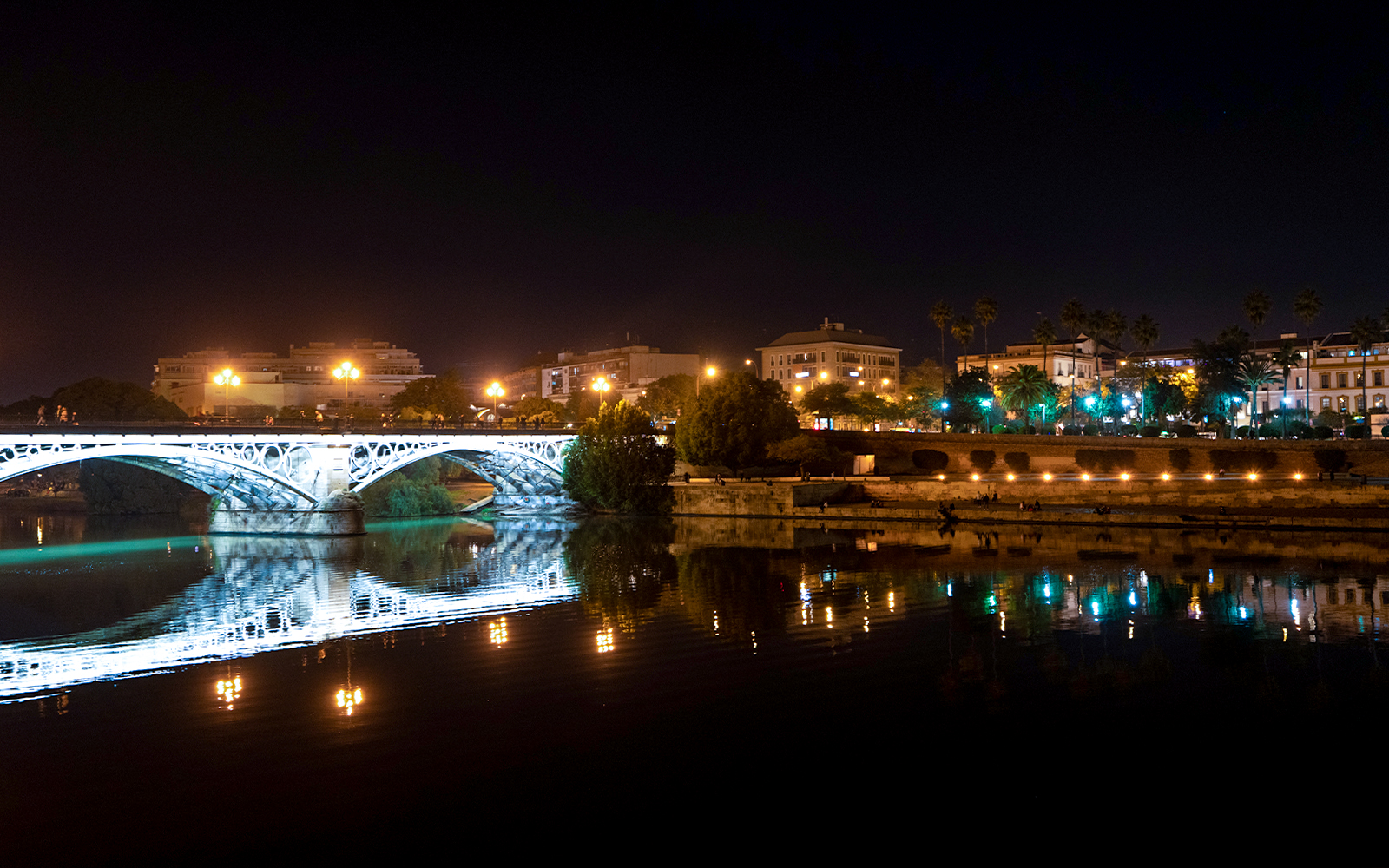 Sightseeing Cruise in Seville at Night