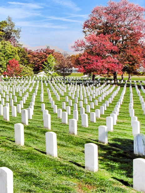 Rows of white headstones at Arlington National Cemetery, Washington DC, with autumn trees.