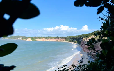Santuário Ecológico de Pipa Guided Nature Walk With Praia do Madeiro Visit