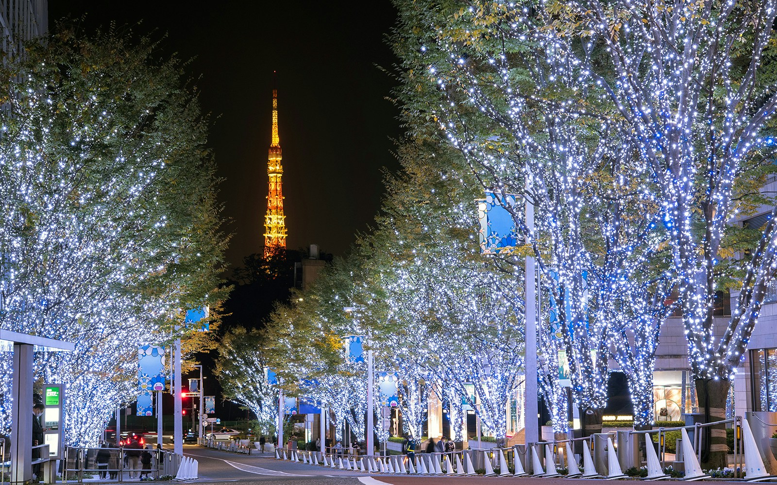 Keyakizaka Street illuminated at night with Tokyo Tower in the background.
