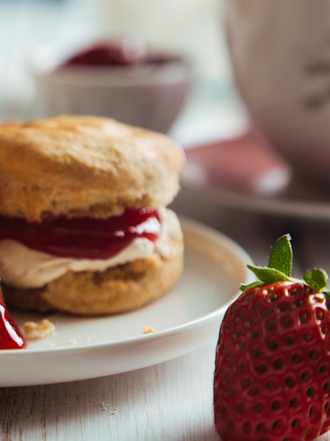 Scones with clotted cream and strawberry jam at the British Museum café.