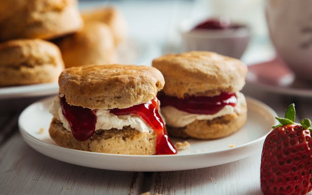 Scones with clotted cream and strawberry jam at the British Museum café.