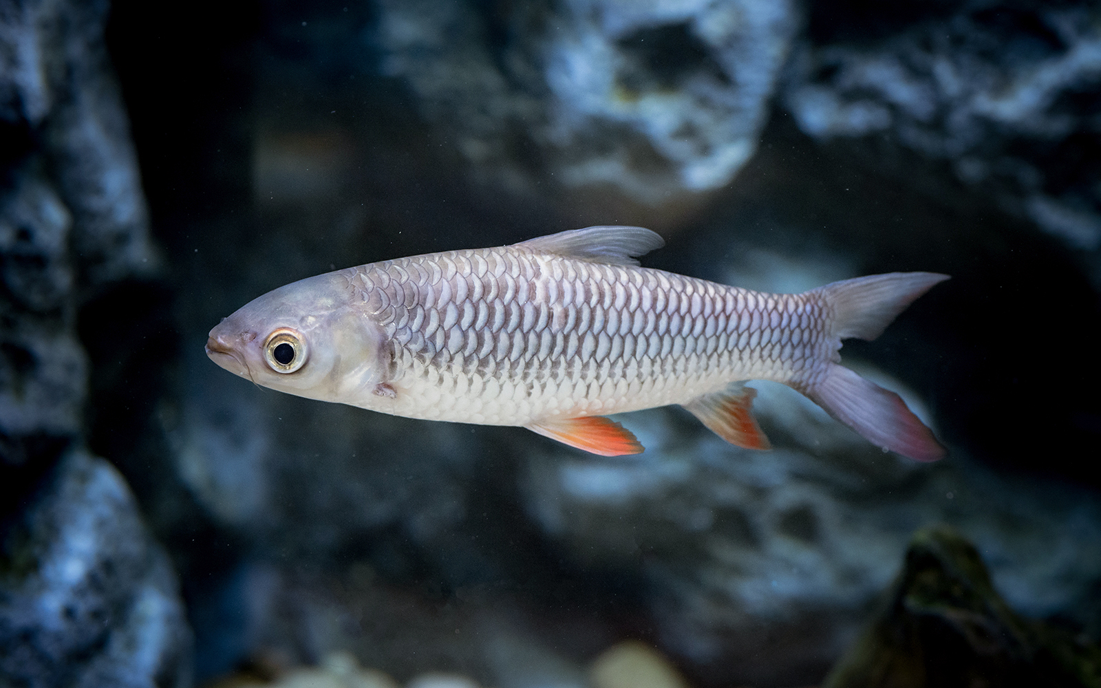 Langkawi Underwater World