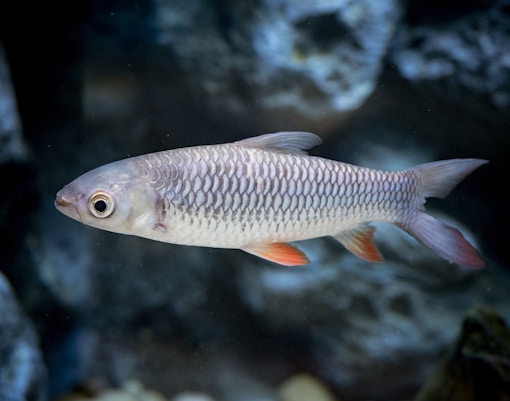 Langkawi Underwater World