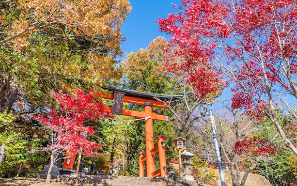 Torii gate surrounded by autumn foliage near Mt. Fuji on a 1-day tour from Tokyo.