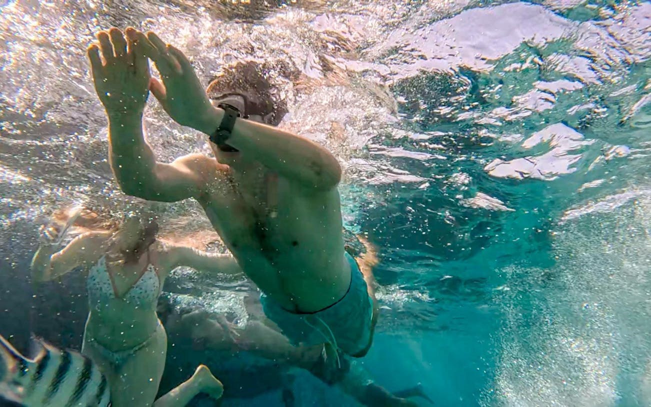 excursie premium la dolphin house cu barca rapidă privată și snorkeling - hurghada-5