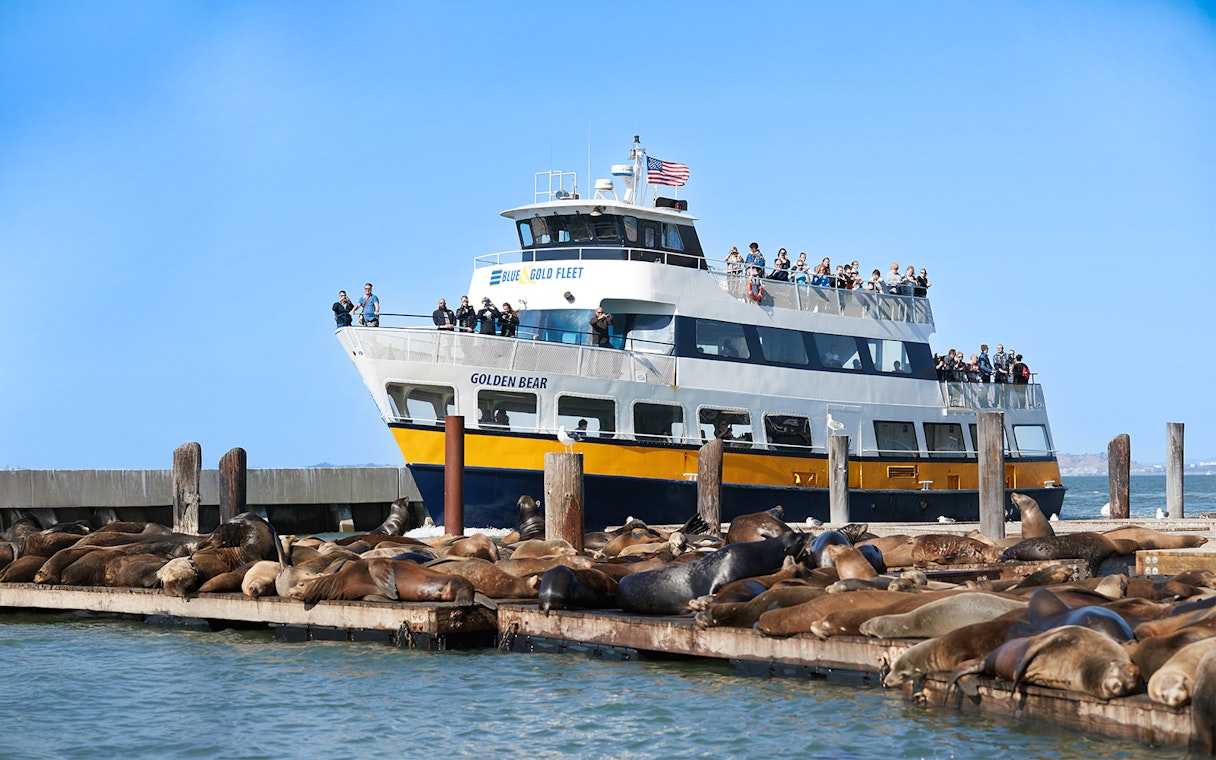 Ferry approaching sea lions on Pier 39 in San Francisco, California.
