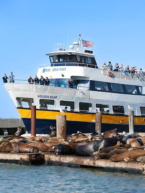Ferry approaching sea lions on Pier 39 in San Francisco, California.