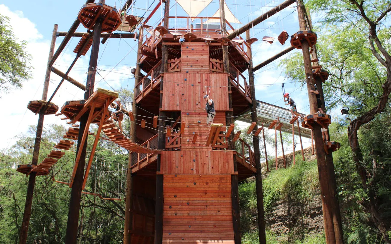High-elevation adventure course with participants navigating rope bridges and safety gear.