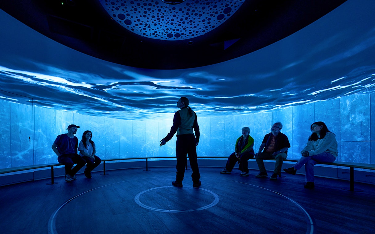 Visitors seated in an immersive room with ocean visuals during a sensory video journey in Scotland.