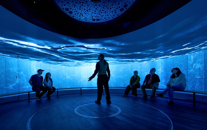 Visitors seated in an immersive room with ocean visuals during a sensory video journey in Scotland.