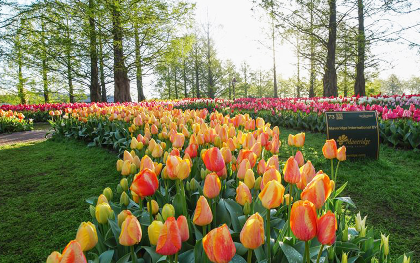 keukenhof tickets