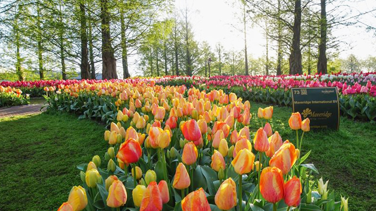 keukenhof tickets