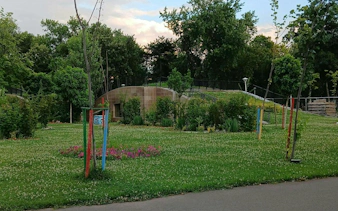 Green park area in Cotroceni, Bucharest, part of the Hidden Love Songs city exploration game.