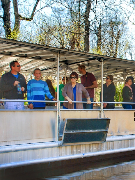 Tourists on a boat during a Swamp Tour near Oak Alley Plantation, surrounded by trees and water.