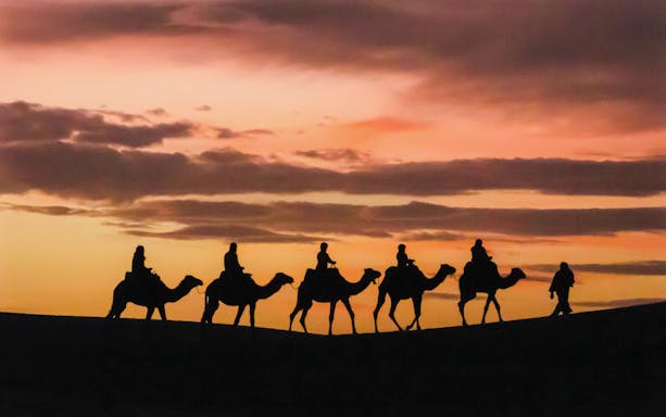 Camel trek at sunset in Merzouga dunes, Morocco.
