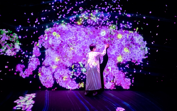 Person interacting with digital floral display at E・ZO FUKUOKA teamLab Forest.