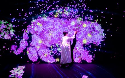 teamlab Forest Fukuoka & Fukuoka Tower | Combo