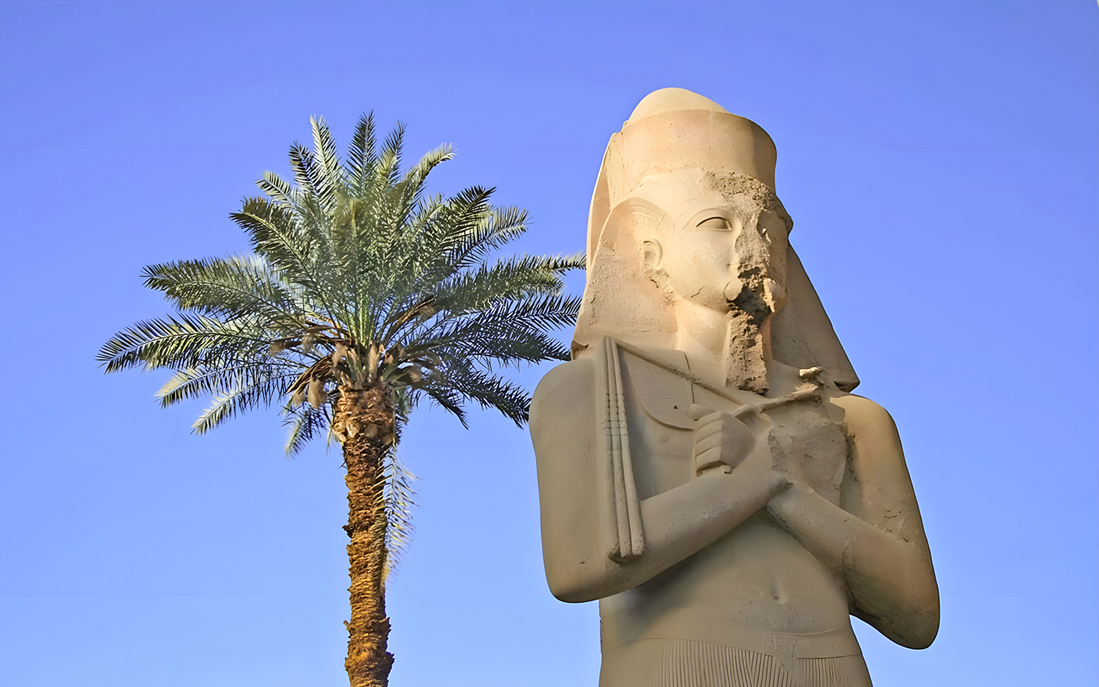 Statue of ancient Egyptian pharaoh at Karnak Temple with palm tree, Luxor, Egypt.