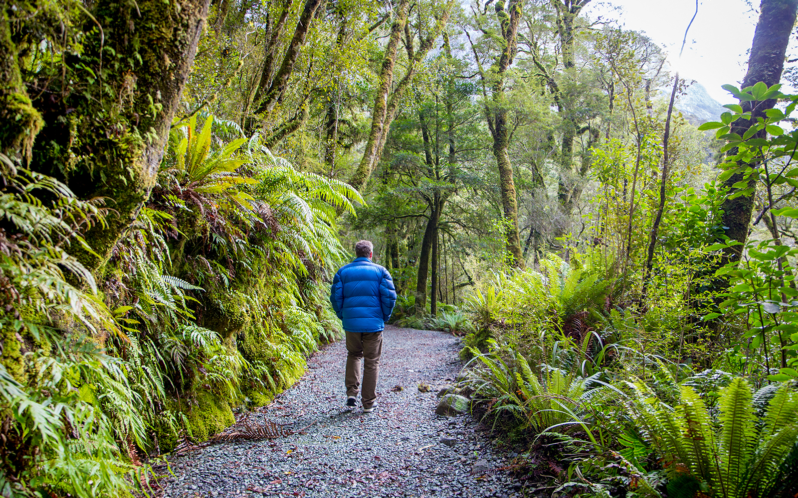 Hikers on a trail overlooking the fjord and waterfalls in Milford Sound, New Zealand.