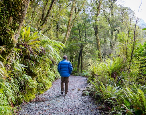 Hikers on a trail overlooking the fjord and waterfalls in Milford Sound, New Zealand.