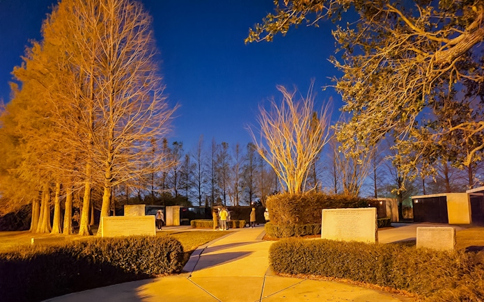 Nighttime view of a New Orleans cemetery with illuminated trees and visitors exploring pathways.