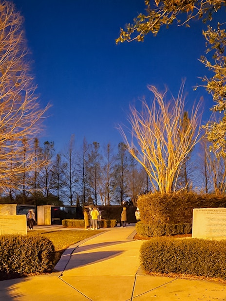 Nighttime view of a New Orleans cemetery with illuminated trees and visitors exploring pathways.