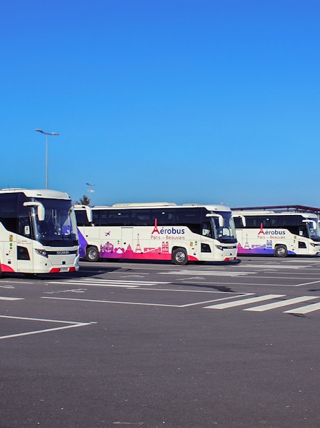 Aerobus buses parked at Paris Beauvais Airport for transfers to Saint-Denis University.