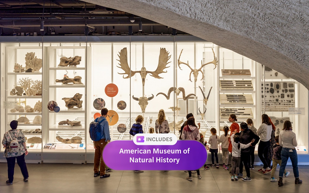 Visitors viewing fossil exhibits at the American Museum of Natural History, New York City.