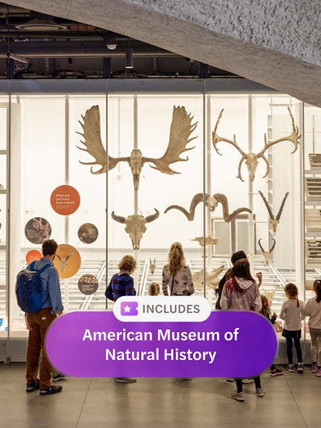Visitors viewing fossil exhibits at the American Museum of Natural History, New York City.
