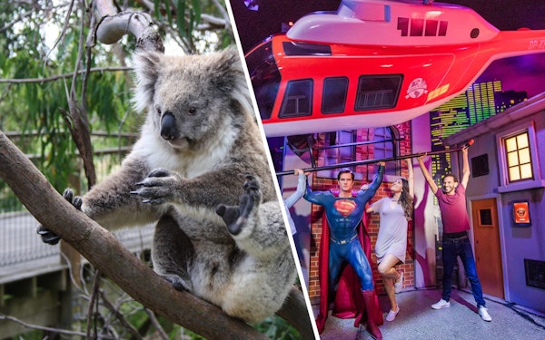 Combo: WILD LIFE Sydney Zoo and Madame Tussauds Tickets