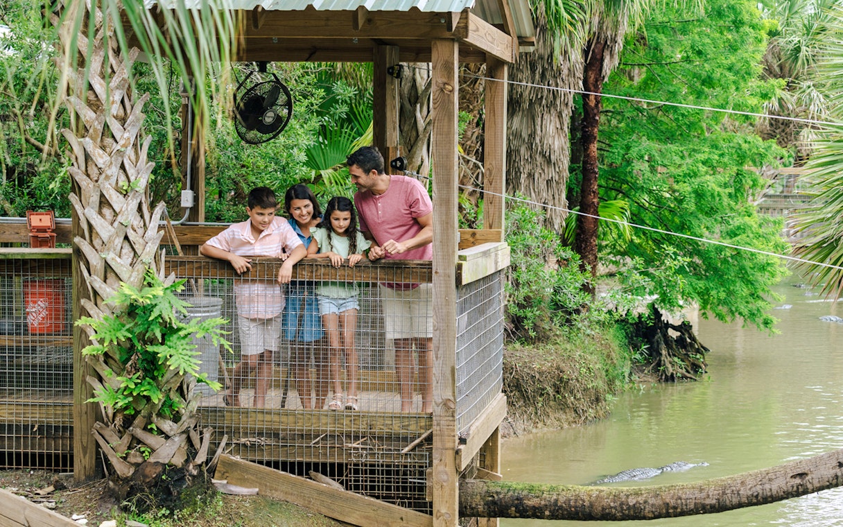 Family observing alligators at Gator Park Drive-Thru Safari, Orlando.