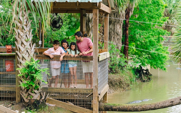 Family observing alligators at Gator Park Drive-Thru Safari, Orlando.