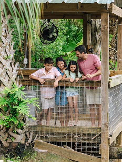 Family observing alligators at Gator Park Drive-Thru Safari, Orlando.