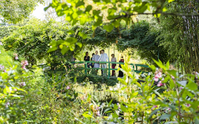 Visitors on Japanese bridge in Monet's Garden with guide.
