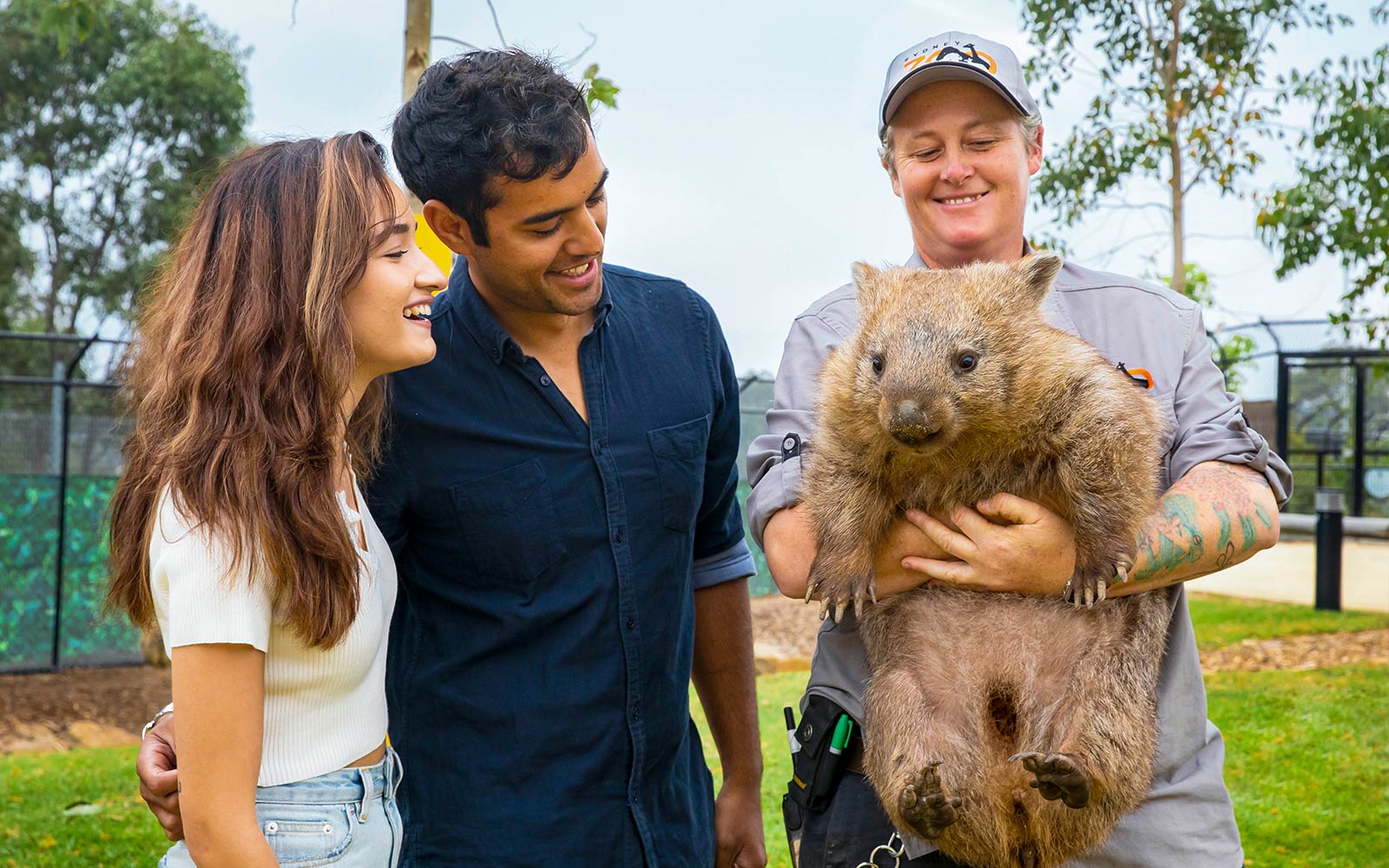 Guests interacting with a wombat at Sydney Zoo.