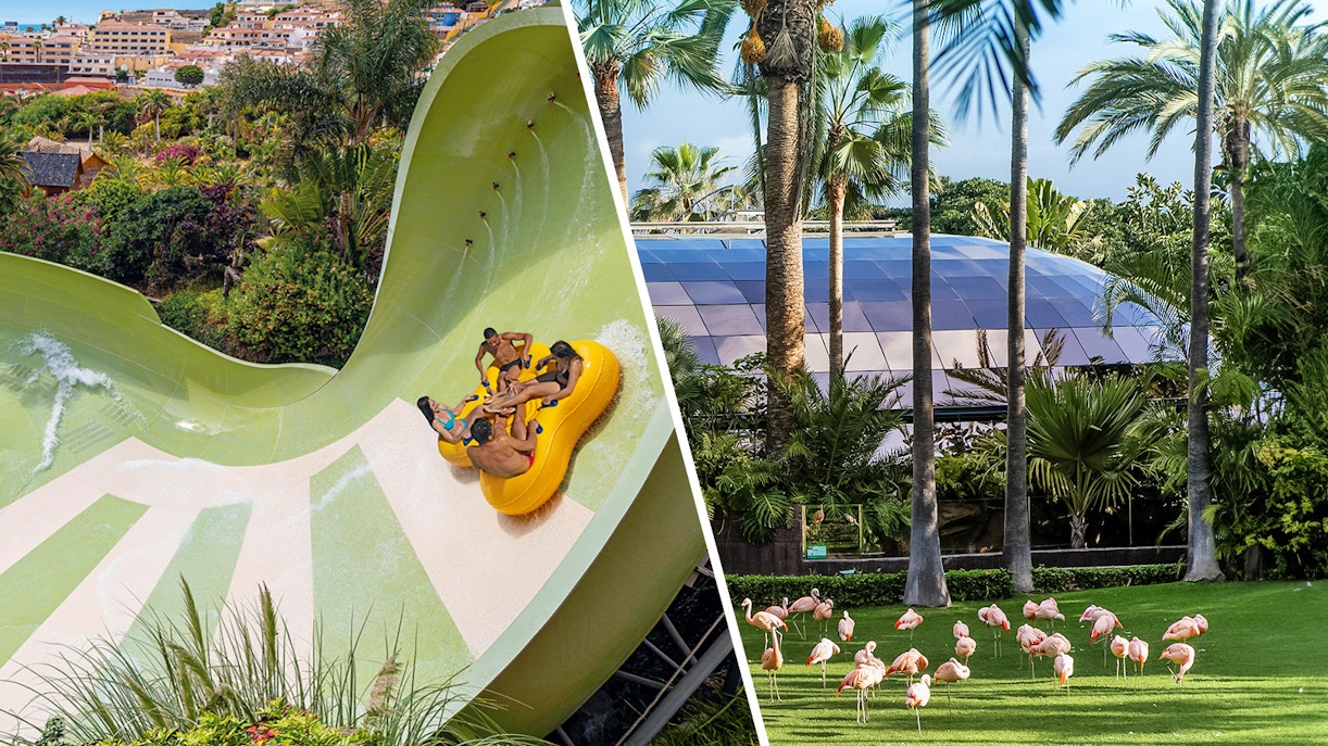 Loro Parque Timings