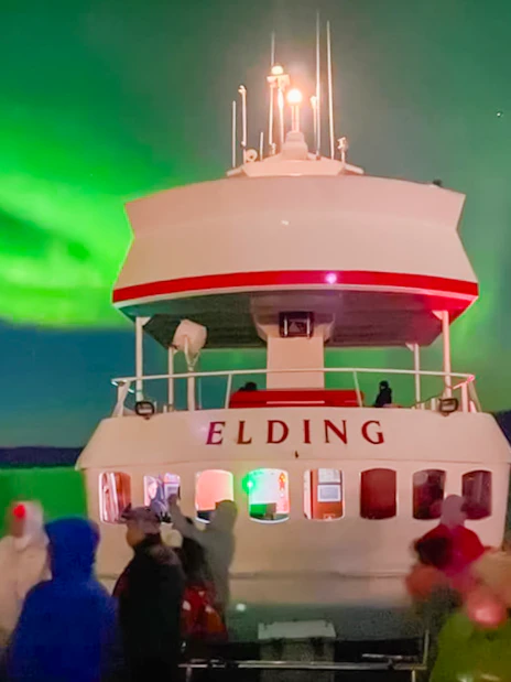 Guests viewing northern lights from a cruise ship deck in Iceland.