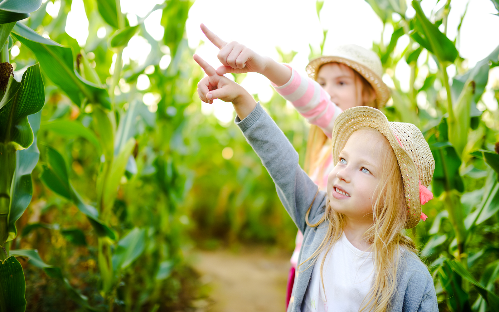 Two young girls exploring a pineapple maze, pointing ahead.