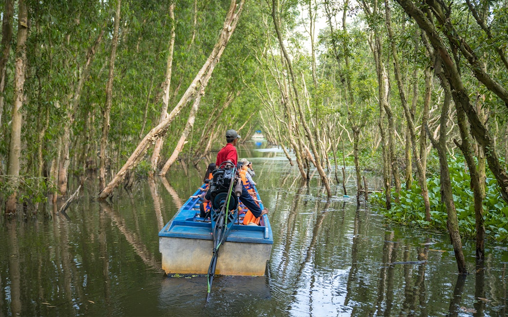 Motorboat navigating through lush trees in Mekong Delta.